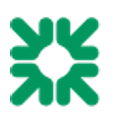 Citizens Bank Statement to Excel Converter logo